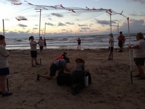 preparing to release the turtles (1024x768)